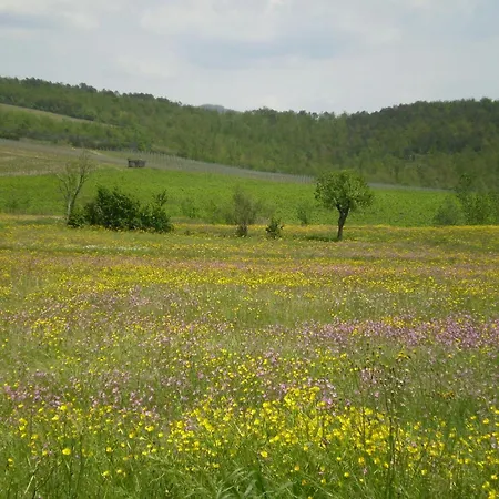 Bed & Breakfast Nido Del Merlo